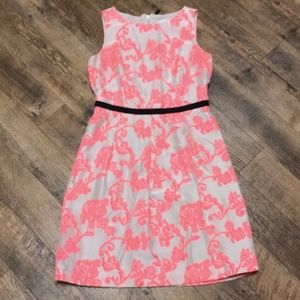 LOFT Ann Taylor Neon Pink Paisley Dress